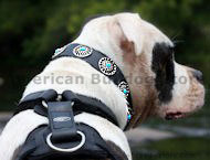 Best Leather Dog Collar with Circles Blue Stones-Custom collar Best Leather Dog Collar with Circles Blue Stones-Custom collar