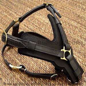 Handmade leather dog harness