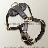 American Bulldog leathe dog harness for walking,training,working American Bulldog leathe dog harness for walking,training,working
