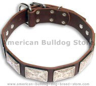 Exquisite American Bulldog Collar Decorated with Silver Color Plates Exquisite American Bulldog Collar Decorated with Silver Color Plates