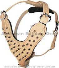Padded Spiked Leather Dog Harness for Bulldogs-Best Harness Padded Spiked Leather Dog Harness for Bulldogs-Best Harness