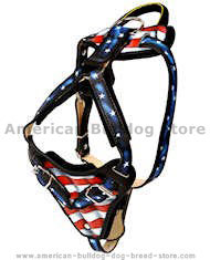 Hand painted by our artists American Bulldog Leather Dog Harness Hand painted by our artists American Bulldog Leather Dog Harness