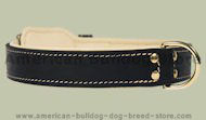 Black Patent Leather dog collar for American Bulldog Black Patent Leather dog collar for American Bulldog