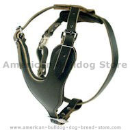 Heavy Duty Dog Harness for American Bulldog Heavy Duty Dog Harness for American Bulldog