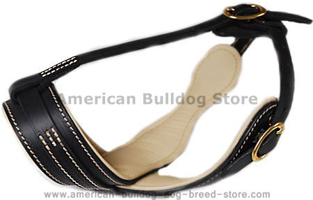 best royal nappa leather dog muzzle fit American Bulldog