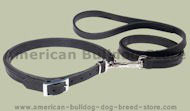 Leather Patent Dog Leash collar for American Bulldog Leather Patent Dog Leash collar for American Bulldog