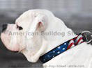 art leather dog collars