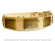 Handcrafted leather dog collar with vintage massive plates. Handcrafted leather dog collar with vintage massive plates.