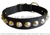 Gorgeous wide nylon dog collar with nickle pyramids. Gorgeous wide nylon dog collar with nickle pyramids.