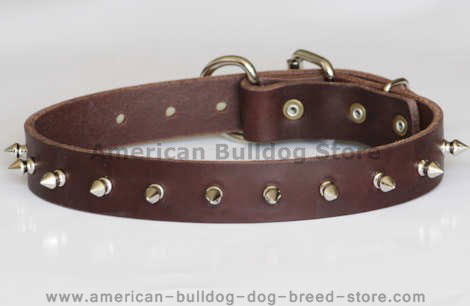 dog collar with spikes