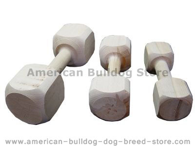 SCHUTZHUND DUMBBELL 