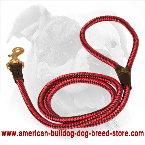 American Bulldog Leash Made of Nylon