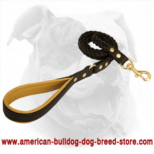 Practical and reliable canine leash for training American Bulldog