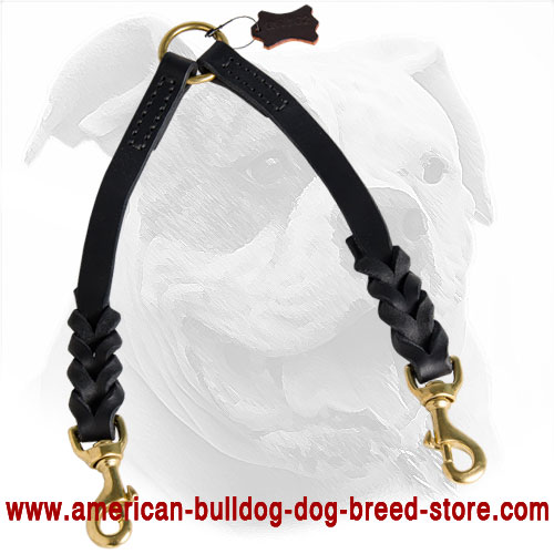 American Bulldog Coupler Made of Leather
