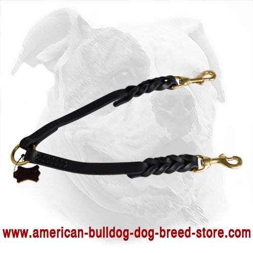  Leather American Bulldog Coupler