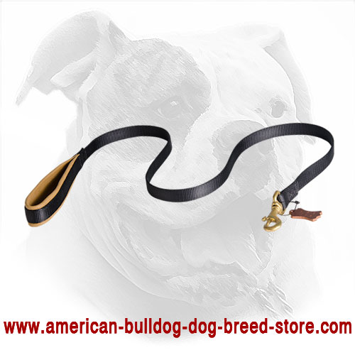 American Bulldog Leash Made of Nylon