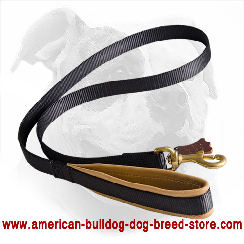Padded Nylon American Bulldog Leash