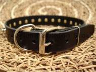 spiked dog collar for american-bulldog
