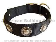 Nylon dog collar with silver conchos. Nylon dog collar with silver conchos.