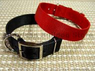 Nylon dog collar - 2 ply nylon : nickel plated : extra wide  for American bulldog