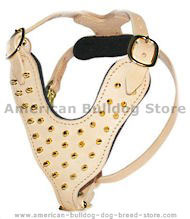 Leather Brass Spikes Dog Harness For BULLDOGS or Big DOGS Leather Brass Spikes Dog Harness For BULLDOGS or Big DOGS