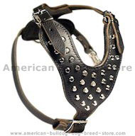 American Bulldog Studded Leather Dog Harness with Pyramids American Bulldog Studded Leather Dog Harness with Pyramids