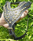 royal dog harness
