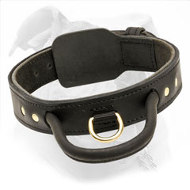 https://www.american-bulldog-dog-breed-store.com/images/American-Bulldog-Leather-Collar-with-Handle-C33.jpg