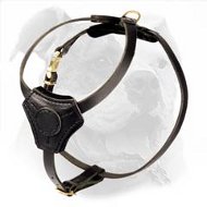 American Bulldog Puppy Walking and Training Harness  American Bulldog Puppy Walking and Training Harness