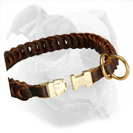 Pawmark Leather Braided Quick-Snap Collars with Conchos, Leather Braided or  Flat Collars