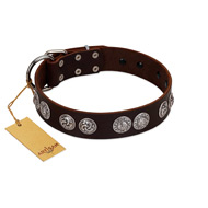 Pampa Dog Collar Petalo – Beau Outfitters