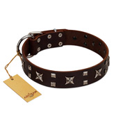 "Bigwig Woof" FDT Artisan Brown Leather American Bulldog Collar with Chrome Plated Stars and Square Studs  "Bigwig Woof" FDT Artisan Brown Leather American Bulldog Collar with Chrome Plated Stars and Square Studs