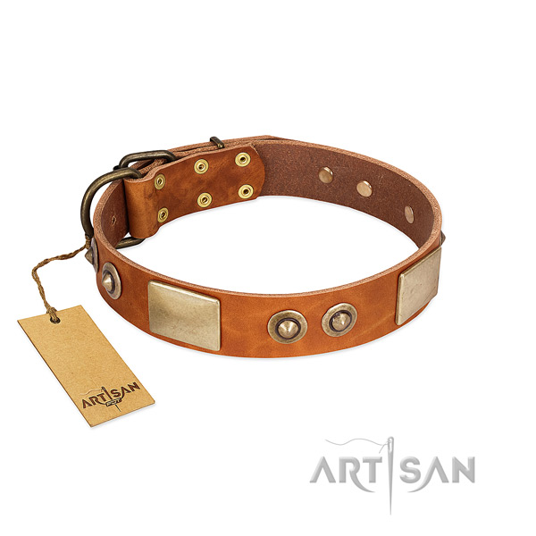 Easy wearing genuine leather dog collar for everyday walking your canine