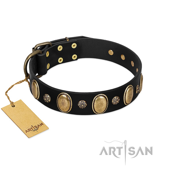 Walking quality leather dog collar with adornments