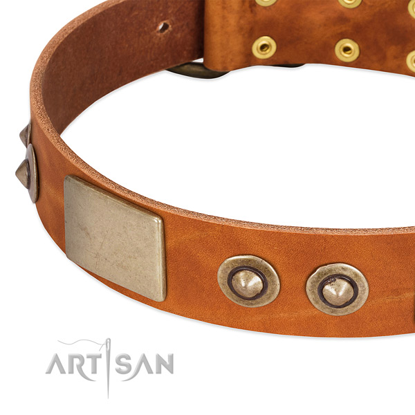 Reliable decorations on natural genuine leather dog collar for your canine
