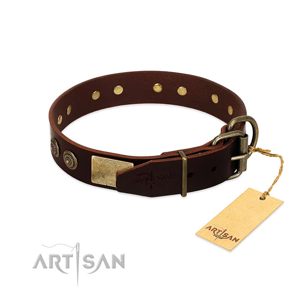 Rust-proof adornments on full grain natural leather dog collar for your four-legged friend