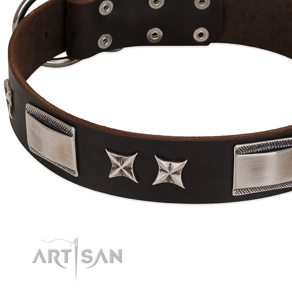 Remarkable collar of genuine leather for your handsome pet