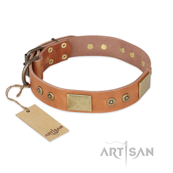 Trendy full grain genuine leather dog collar for basic training