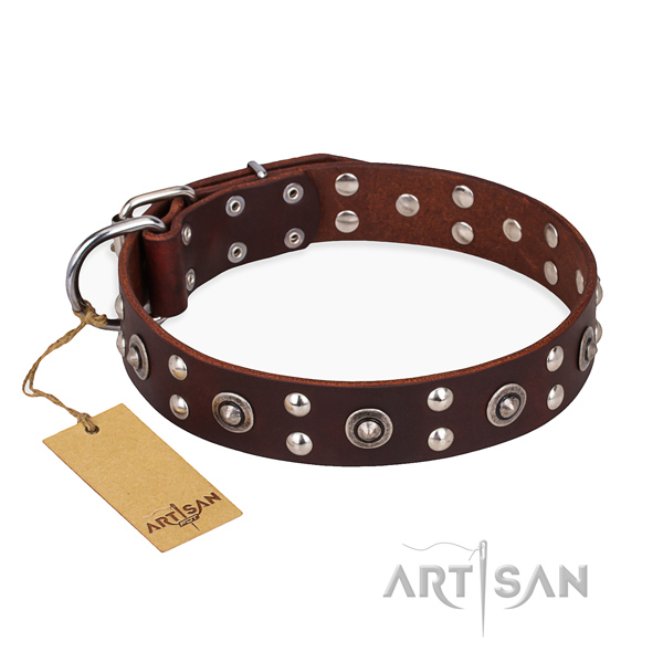 Easy wearing fashionable dog collar with rust-proof fittings