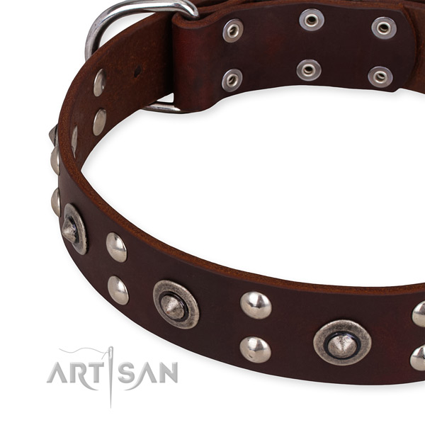 Full grain natural leather collar with strong fittings for your stylish doggie