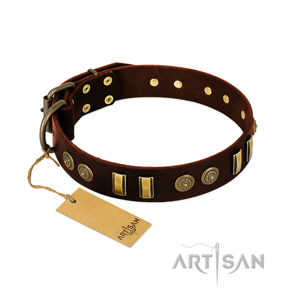 Durable studs on leather dog collar for your pet