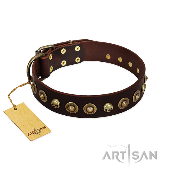Natural leather collar with significant studs for your four-legged friend