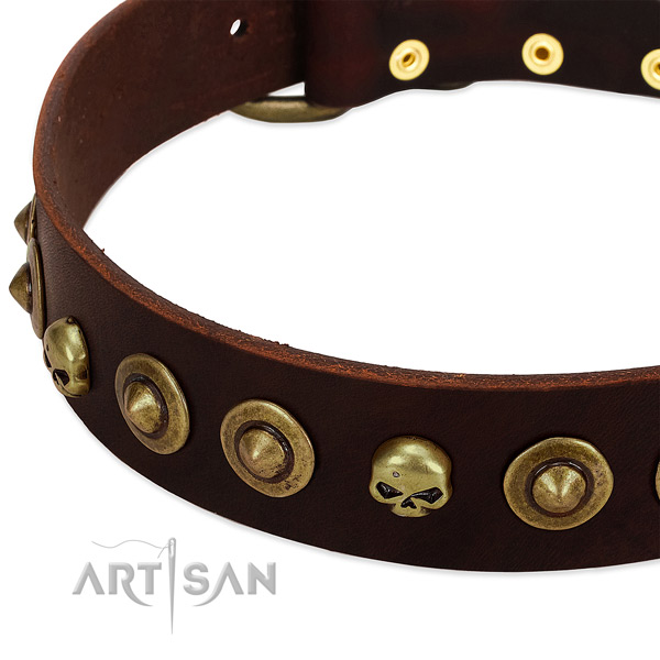 Stunning embellishments on genuine leather collar for your canine