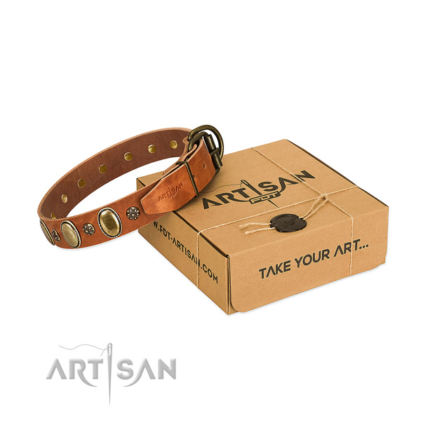 Daily walking soft to touch full grain natural leather dog collar with adornments