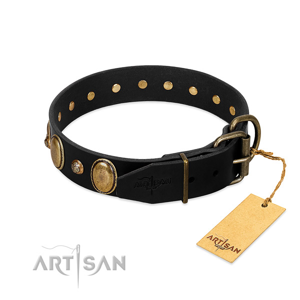 Reliable traditional buckle on full grain genuine leather collar for fancy walking your canine