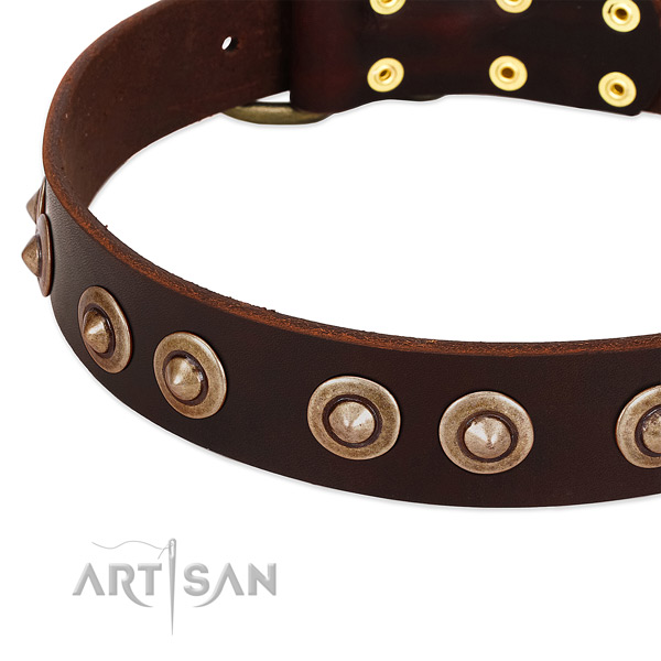 Durable adornments on full grain leather dog collar for your doggie