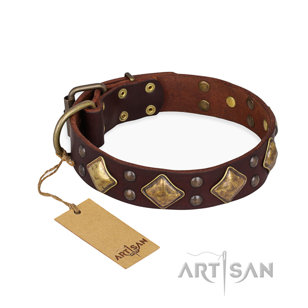 Fancy walking decorated dog collar with rust resistant D-ring