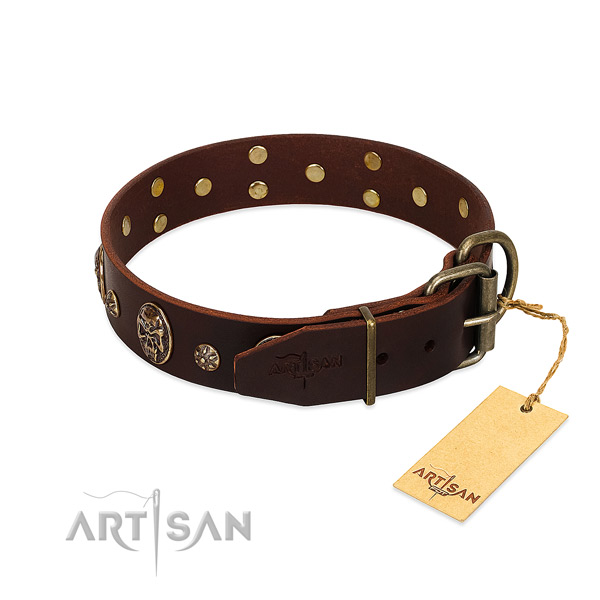 Reliable adornments on full grain natural leather dog collar for your doggie
