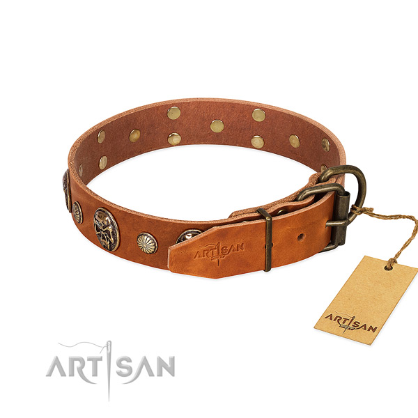 Rust-proof buckle on genuine leather collar for walking your canine