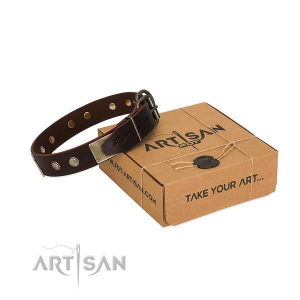 Rust resistant traditional buckle on dog collar for walking